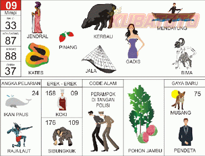 Gambar 08